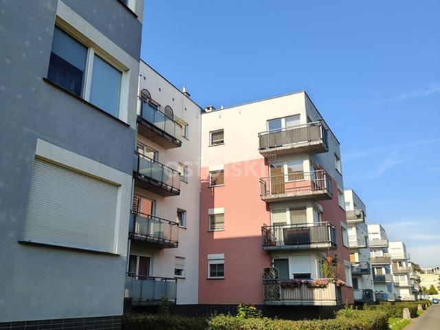 Mieszkanie na wynajem, Poznań, Grunwald