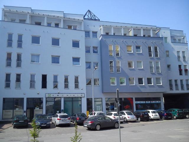 Mieszkanie na wynajem, Poznań, Grunwald, Bosa