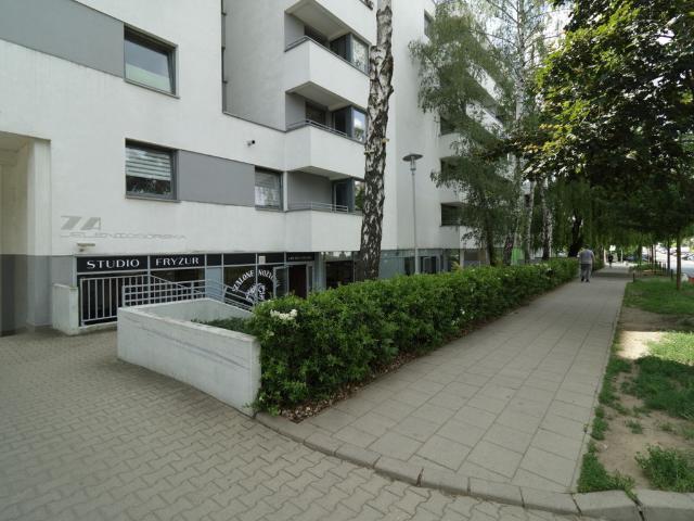 Mieszkanie na wynajem, Poznań, Grunwald, Jeleniogórska