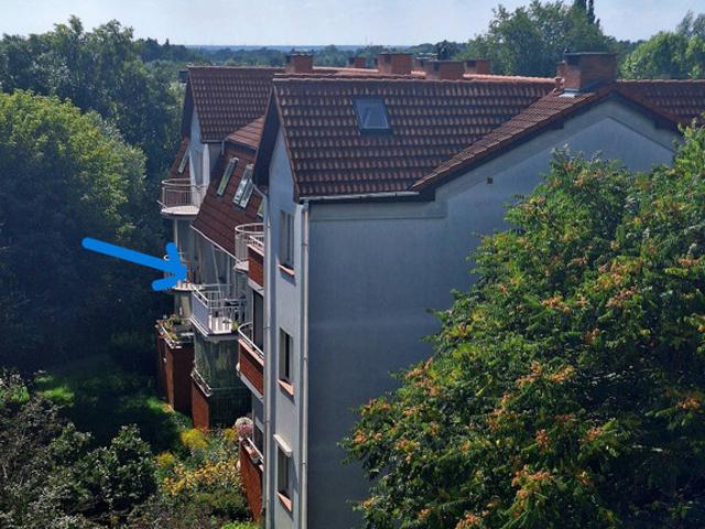 Mieszkanie na wynajem, Poznań, Grunwald, Przepiórcza
