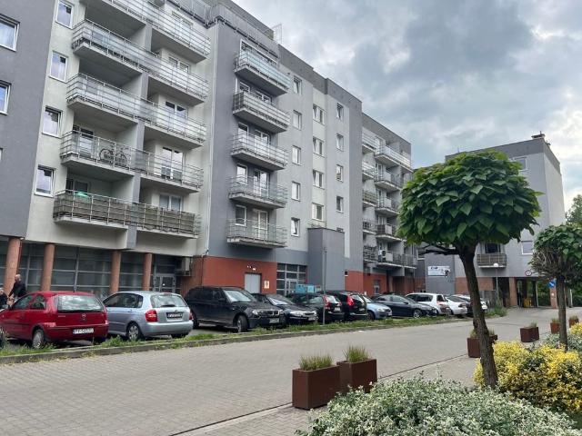 Mieszkanie na wynajem, Poznań, Grunwald, Wojskowa