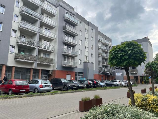 Mieszkanie na wynajem, Poznań, Grunwald, Wojskowa