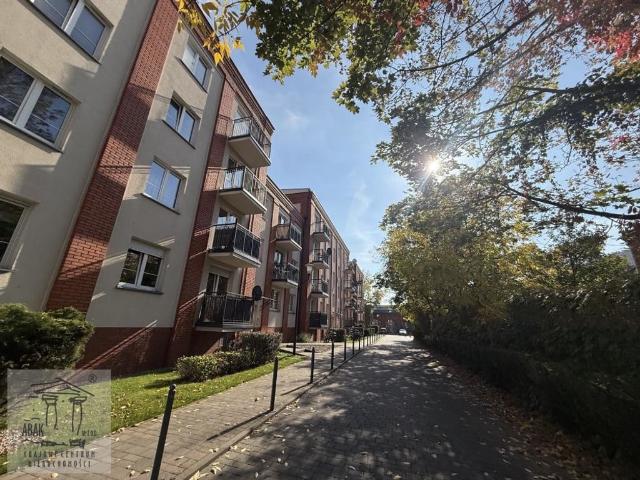 Mieszkanie na wynajem, Poznań, Grunwald, Wojskowa