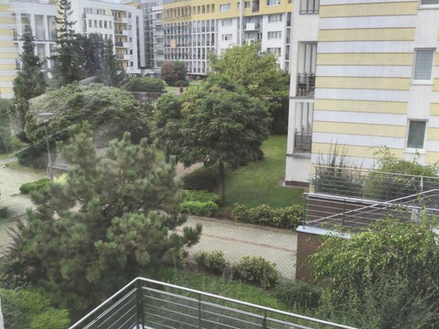 Mieszkanie na wynajem, Poznań, Nowe Miasto