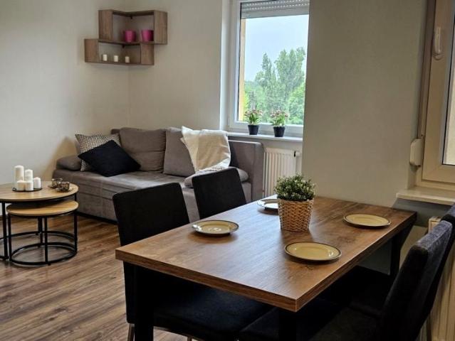 Mieszkanie na wynajem, Poznań, Stare Miasto, 55.00 m2 ul. Umultowska, Piątkowo