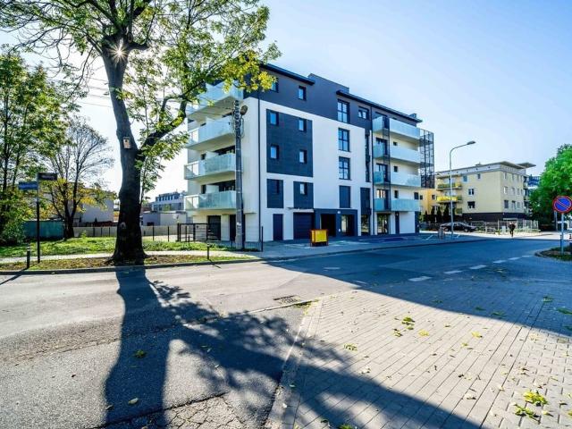 Mieszkanie na wynajem, Poznań, Winogrady, Wyłom