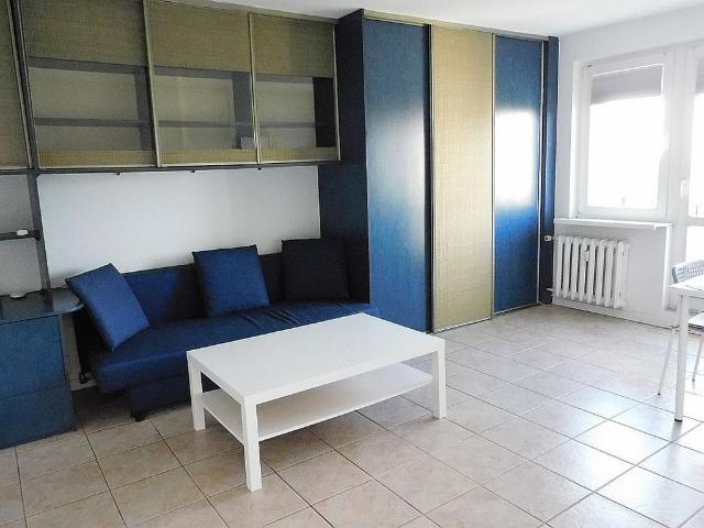 Mieszkanie na wynajem, Poznań, Winogrady