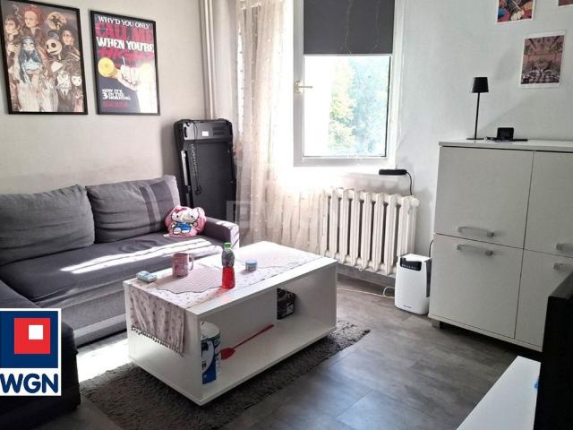 Mieszkanie na wynajem, Wolności