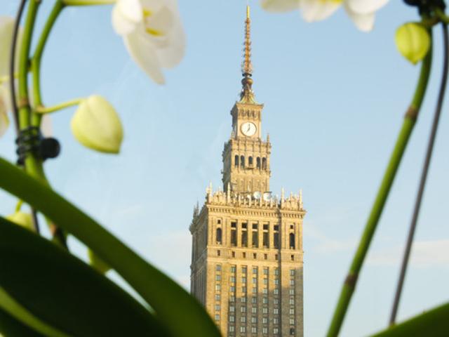 Mieszkanie na wynajem, Warszawa, Śródmieście