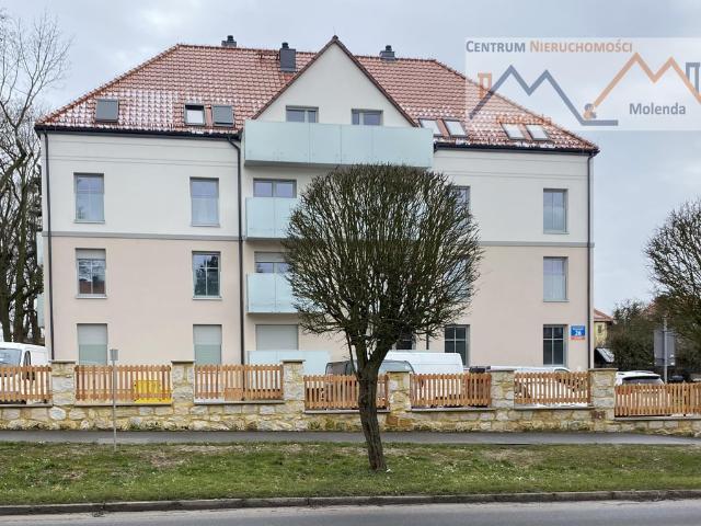 Mieszkanie na wynajem, Tysiąclecia