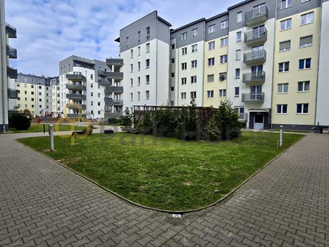 Mieszkanie na wynajem, Zielona Góra