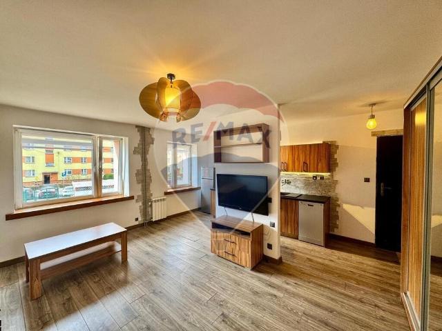 Mieszkanie, Czerwionka Leszczyny, Księdza Hanuska, 28.00 m², sprzedam mieszkanie