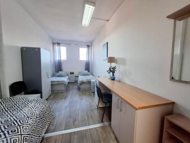Mieszkanie do wynajęcia, Zielona Góra, 800 PLN, 300 m2, domy 65960529