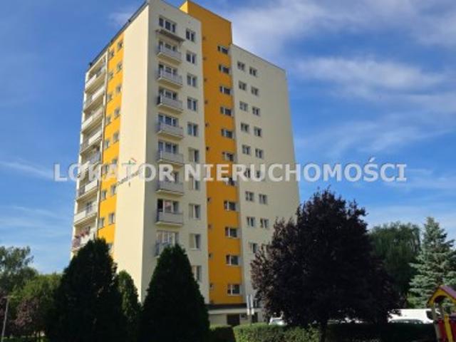 Mieszkanie do wynajęcia
