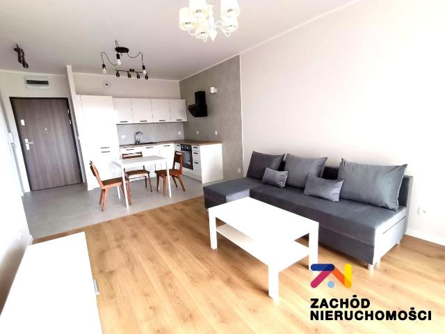 Mieszkanie Do Wynajęcia Ul. Lisia Zielona Góra