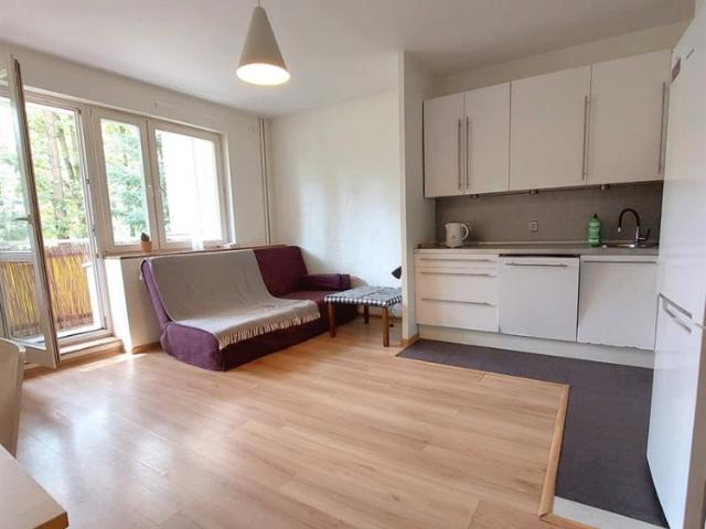 Mieszkanie do wynajęcia woj. wielkopolskie. Poznań, Stare Miasto, os. Bolesława Chrobrego, 3 100 PLN, 65,00 m2