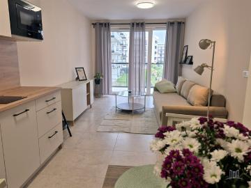 Mieszkanie do wynajęcia, Wrocław M. Wrocław Fabryczna Żerniki Witolda Lipińskiego “Szczedronia”, 2950 PLN, 38 m2, domy BCH MW 901
