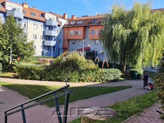 Mieszkanie do wynajęcia, Wrocław Krzyki Gaj KUKUCZKI, 2700 PLN, 34 m2, domy AJ07905
