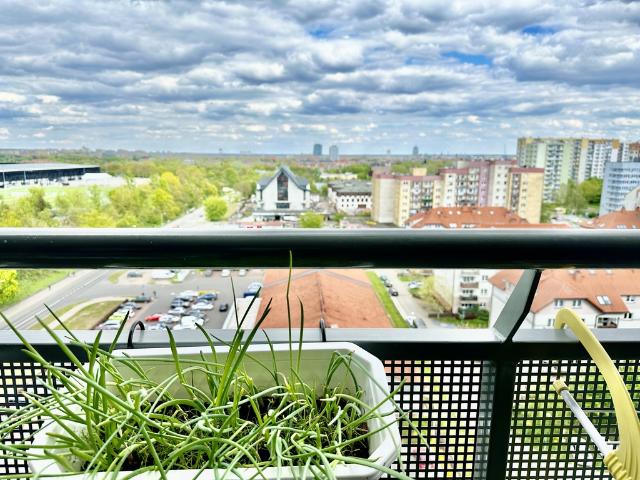 Mieszkanie do wynajęcia z pięknym widokiem