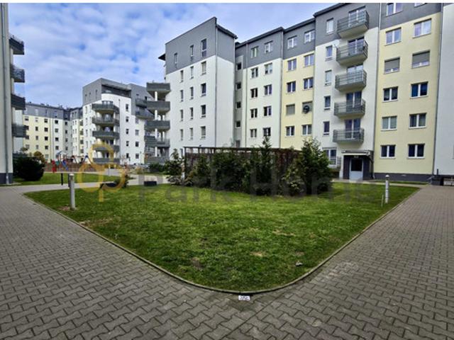 Mieszkanie do wynajęcia, Zielona Góra, 2500 PLN, 48,51 m2, domy 220269