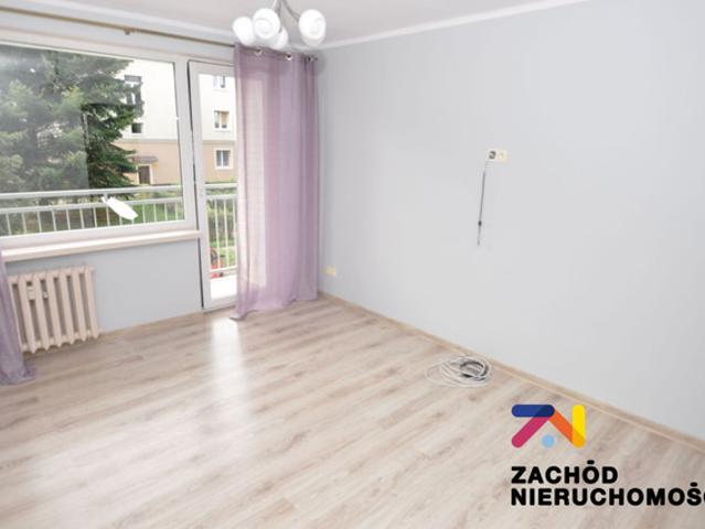Dwupokojowe mieszkanie do wynajęcia