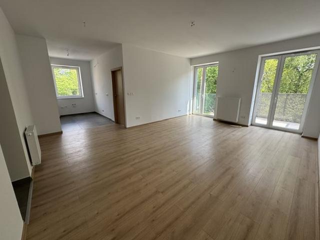 Dwupokojowe mieszkanie do wynajęcia