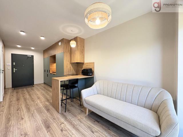 Mieszkanie do wynajęcia, Łódź Polesie Srebrzyńska, 2200 PLN, 32 m2, domy 61506