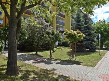 Mieszkanie do wynajęcia, Płock Dobrzyńska Kwiatowa, 2300 PLN, 48 m2, domy 884