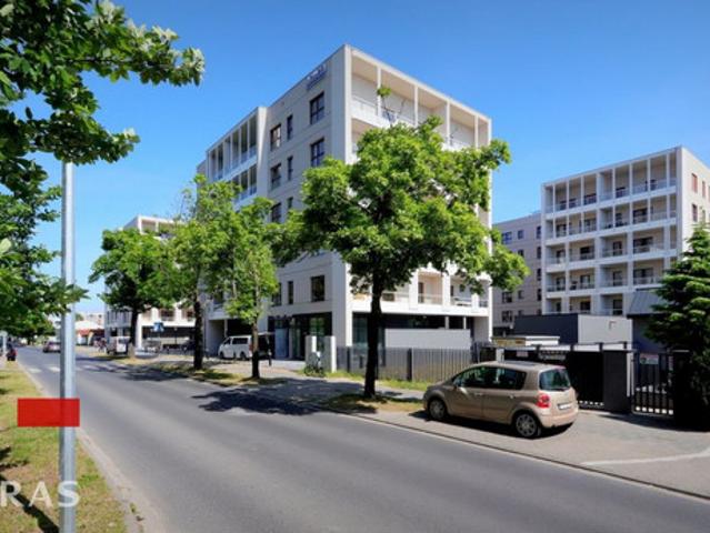 Mieszkanie do wynajęcia, Poznań Poznań Grunwald Poznań Grunwald Jeleniogórska, 2600 PLN, 40,52 m2, domy PIETRAS174738