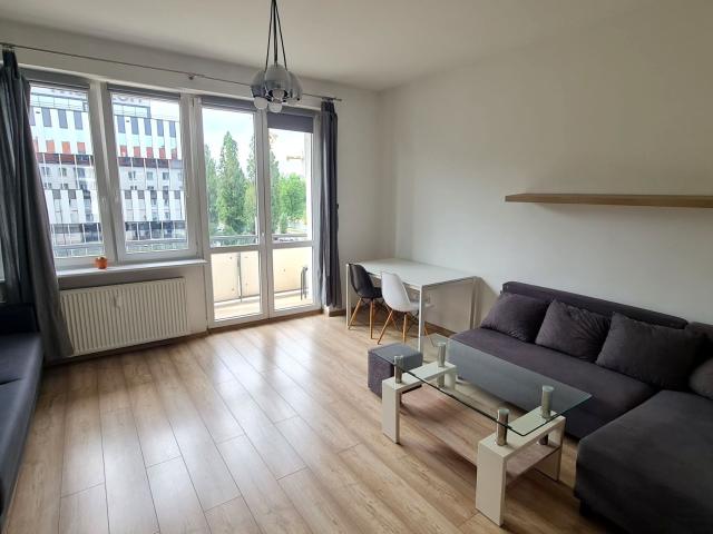 Mieszkanie kawalerka z oddzielną kuchnią 35 m² na wynajem Poznań, Stary Rynek