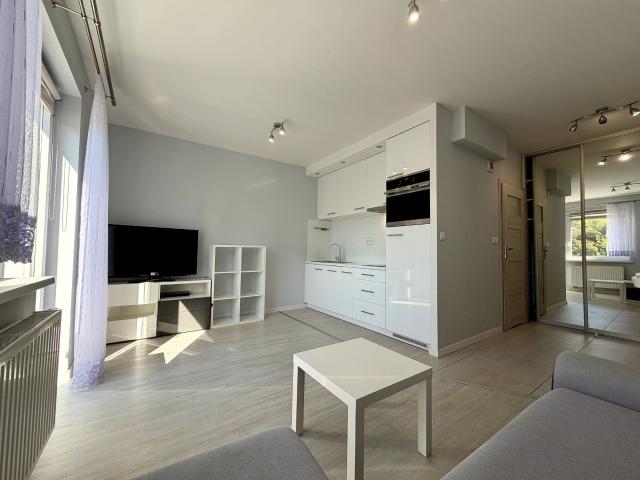 Mieszkanie kawalerka z aneksem kuchennym 26 m² na wynajem ul. Raginisa, Szczecin, Śródmieście Północ
