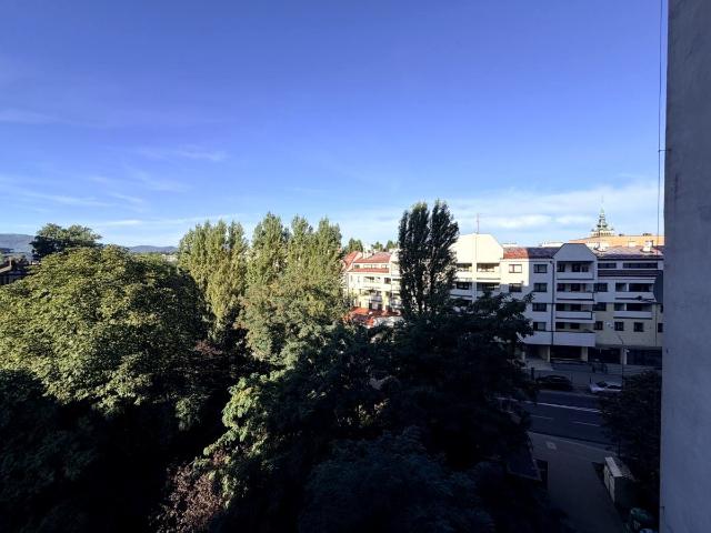 Mieszkanie kawalerka z kuchnią z oknem 33 m² na wynajem ul. Dmowskiego, Bielsko Biała