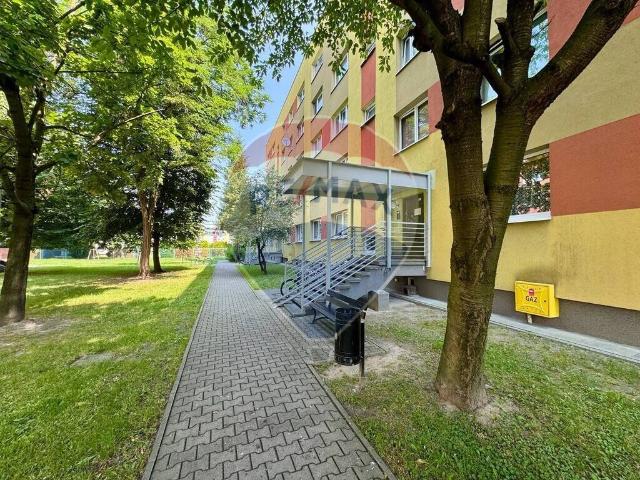 Mieszkanie, Knurów, Szarych Szeregów, 42.70 m², sprzedam mieszkanie