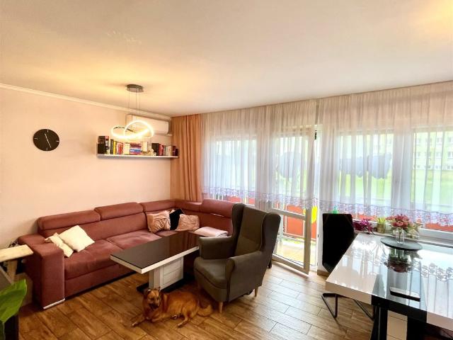 Mieszkanie sprzedam, Czerwionka Leszczyny, Czerwionka Leszczyny, 55 m2, cena: 360 000 zł