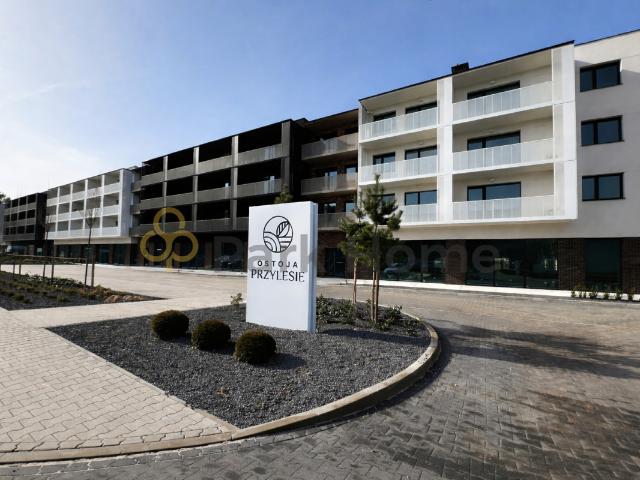 Mieszkanie sprzedam, Leszno, 44 m2, cena: 433 160 zł