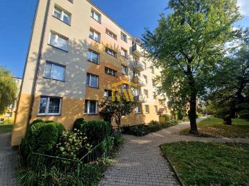 Mieszkanie wynajem 35m2 Radom, Nad Potokiem