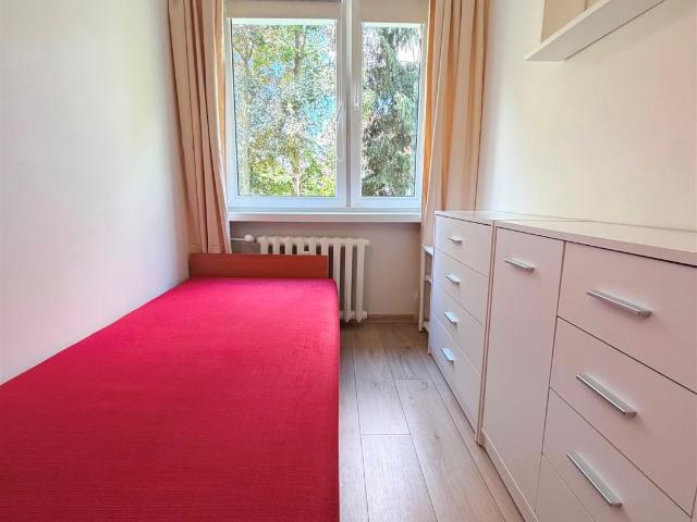 Mieszkanie wynajmę, Piotrków Trybunalski, Centrum, 32 m2, cena: 1 500 zł