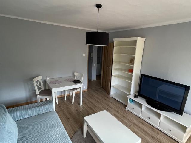 Mieszkanie wynajmę, Rybnik, Chwałowice, 38 m2, cena: 1 300 zł