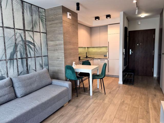 Mieszkanie w apartamentowcu wysoki standard 35 m² na wynajem Katowice