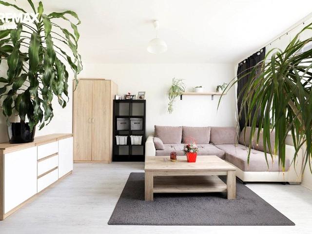 Mieszkanie w bloku mieszkalnym 34 m² przy lesie na wynajem Sikorskiego, Kęty