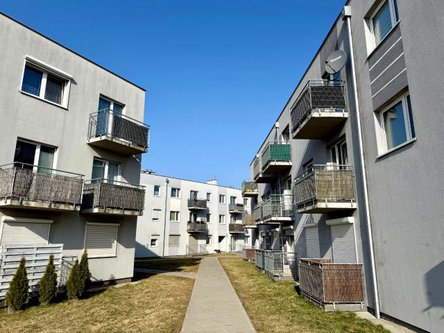 Mieszkanie w bloku mieszkalnym 49 m² przy lesie na wynajem ul. Miętowa, Plewiska