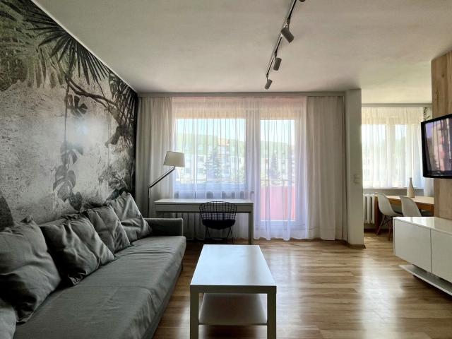 Mieszkanie w bloku mieszkalnym wysoki standard 49 m² nad jeziorem na wynajem Świętochłowice, Piaśniki