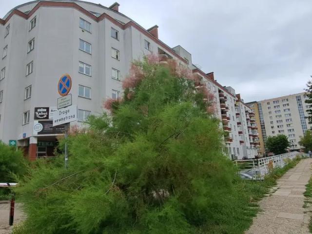 Mieszkanie Warszawa, ul. gen. Romana Abrahama