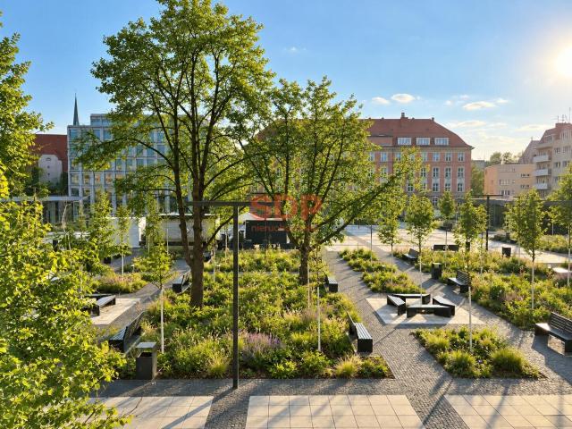 Mieszkanie, Wrocław Stare Miasto, Plac Nowy Targ, 42.50 m², sprzedam mieszkanie