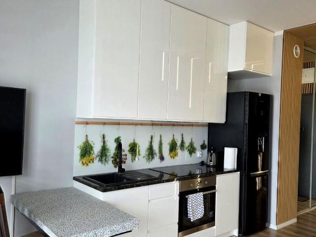 Mieszkanie 26 m² z aneksem kuchennym na wynajem Leszno, Śródmieście Centrum
