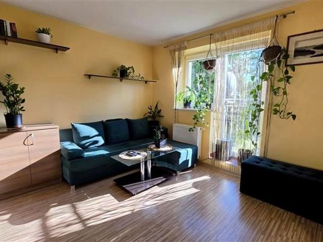 Mieszkanie 26,36 m² z oddzielną kuchnią na wynajem Bonin