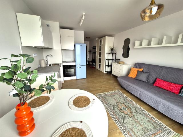 Mieszkanie 27,89 m² z aneksem kuchennym na wynajem Łódź, Śródmieście