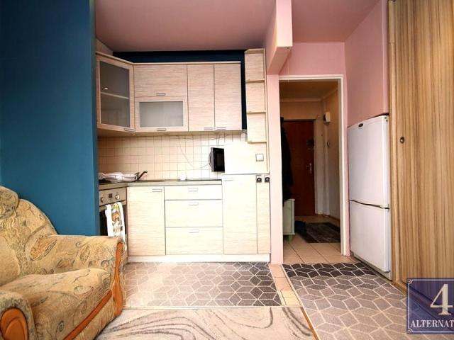 Mieszkanie 35 m² z aneksem kuchennym na wynajem Tarnów, Strusina