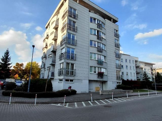 Mieszkanie 36,50 m² z kuchnią z oknem na wynajem Poznań, Grunwald