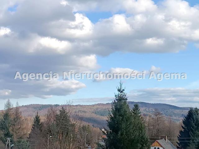 Mieszkanie 37 m² z kuchnią w zabudowie na wynajem Jedlina Zdrój, Jedlinka